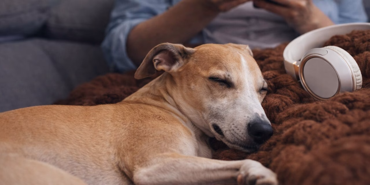 Online Geld gewinnen: die besten Spiele