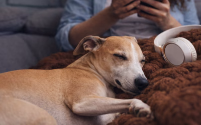 Online Geld gewinnen: die besten Spiele