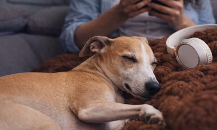 Online Geld gewinnen: die besten Spiele