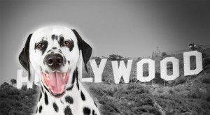 „HollywoodSign“ von Sörn - Flickr