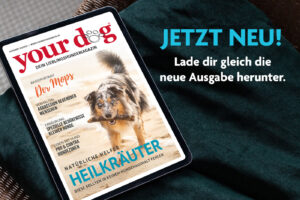 Your Dog Magazin neue Ausgabe