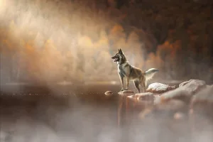 Caro Fiebinger Fotografie